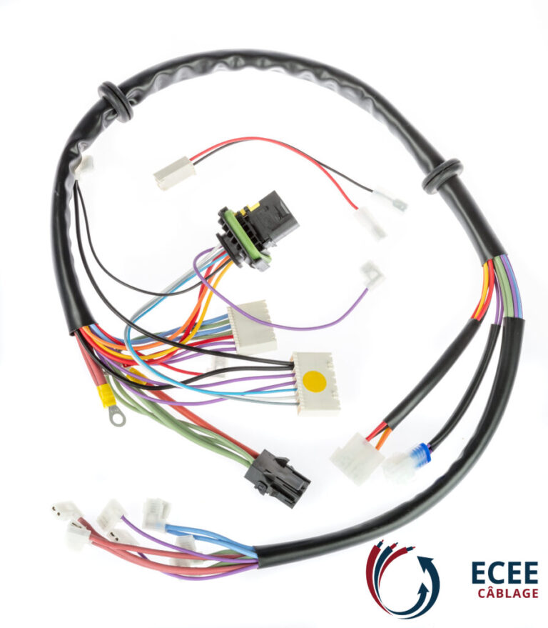 ECEE industrie dans l'Ain